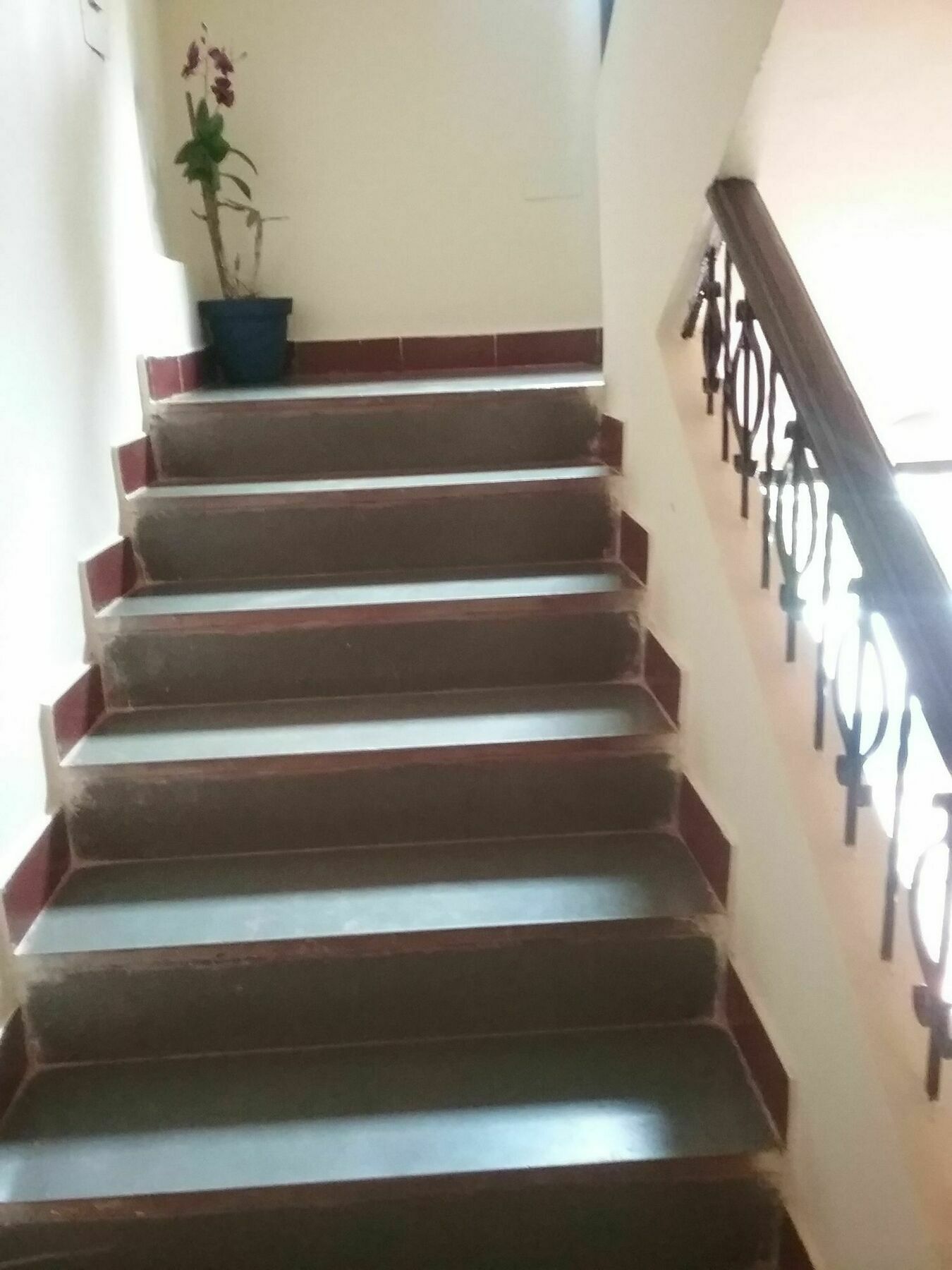 Hotel Baga Villa Bnb Saligao Экстерьер фото