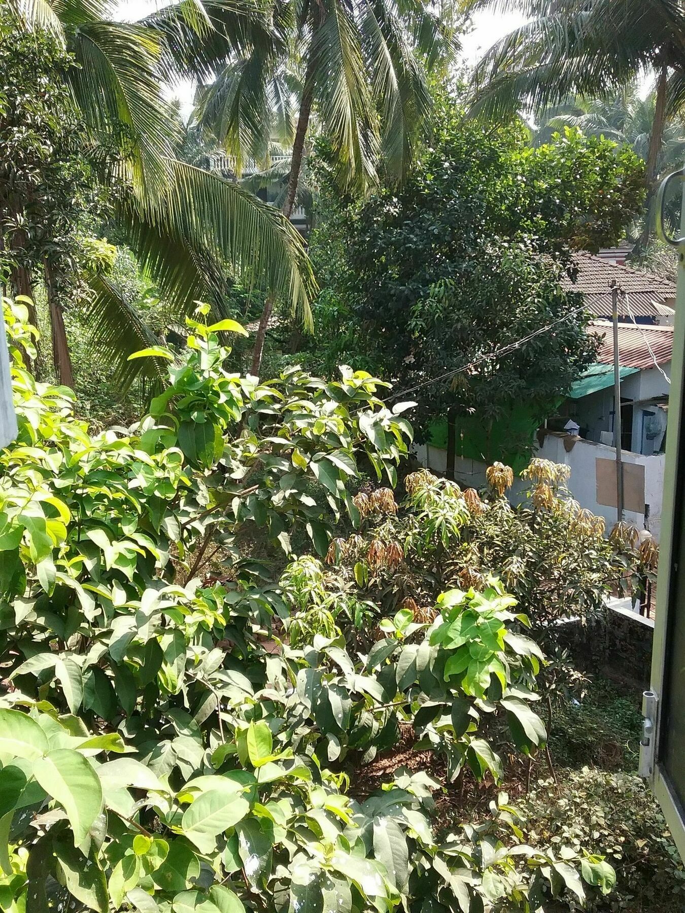 Hotel Baga Villa Bnb Saligao Экстерьер фото